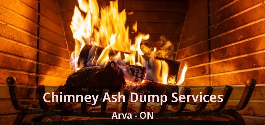 Chimney Ash Dump Services Arva - ON