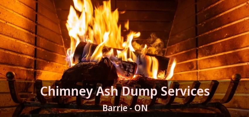 Chimney Ash Dump Services Barrie - ON