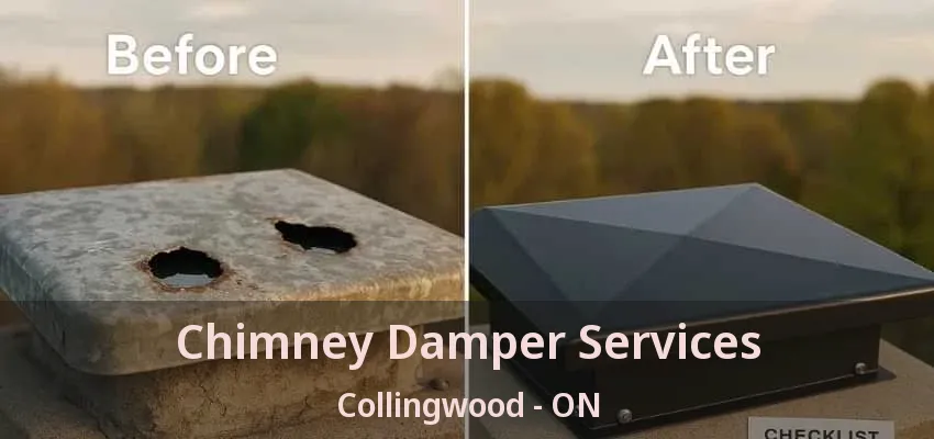 Chimney Damper Services Collingwood - ON Chimney Damper Services Collingwood - ON
