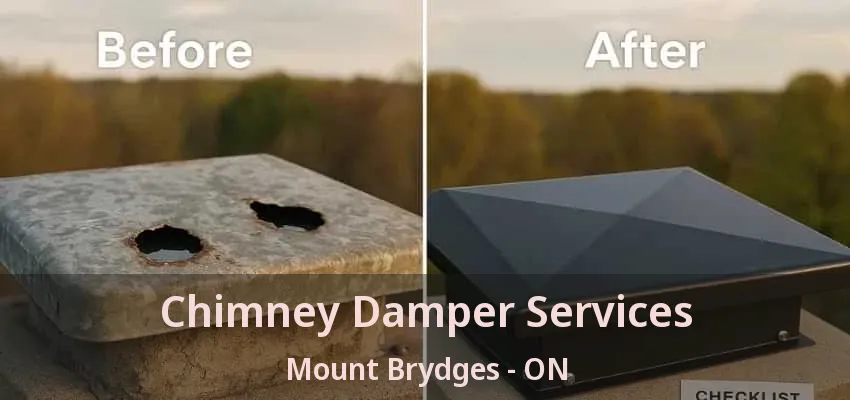 Chimney Damper Services Mount Brydges - ON