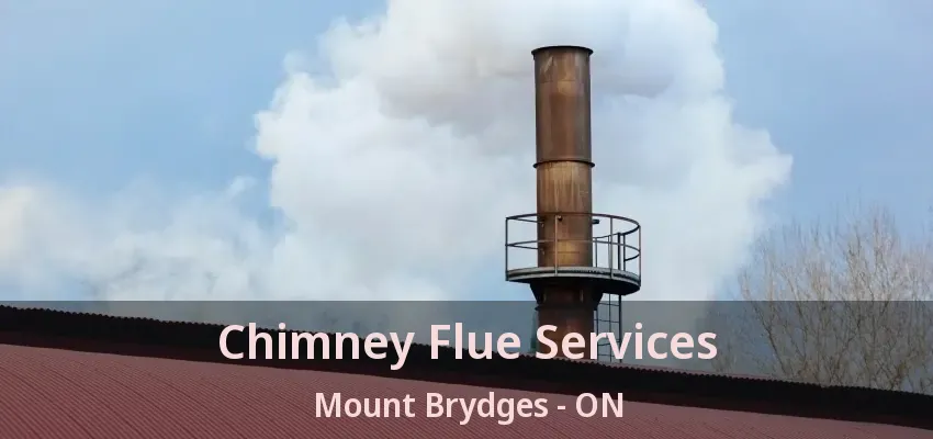 Chimney Flue Services Mount Brydges - ON Chimney Flue Services Mount Brydges - ON