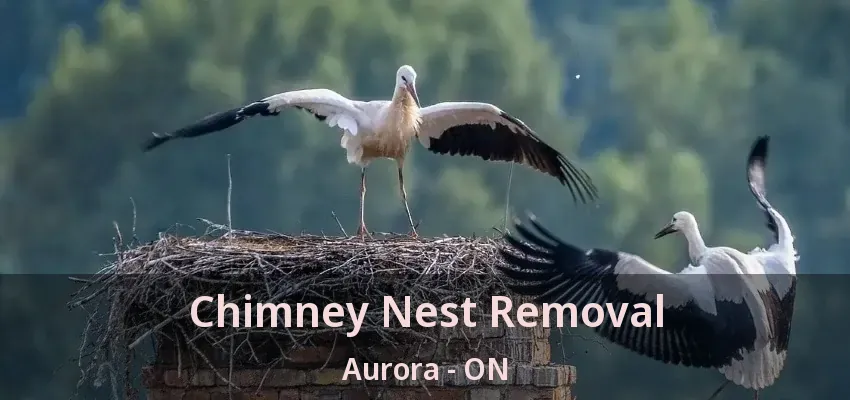 Chimney Nest Removal Aurora - ON Chimney Nest Removal Aurora - ON