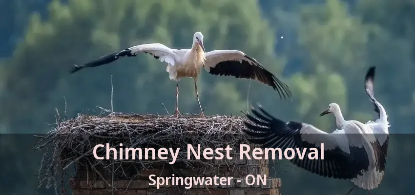 Chimney Nest Removal Springwater - ON Chimney Nest Removal Springwater - ON