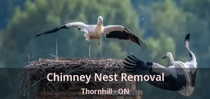Chimney Nest Removal Thornhill - ON