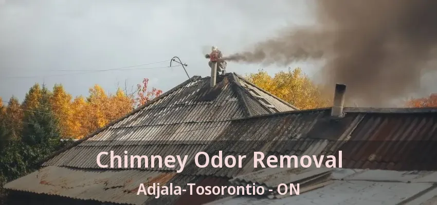 Chimney Odor Removal Adjala-Tosorontio - ON Chimney Odor Removal Adjala-Tosorontio - ON