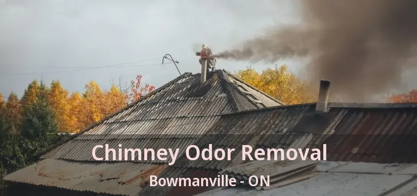 Chimney Odor Removal Bowmanville - ON Chimney Odor Removal Bowmanville - ON