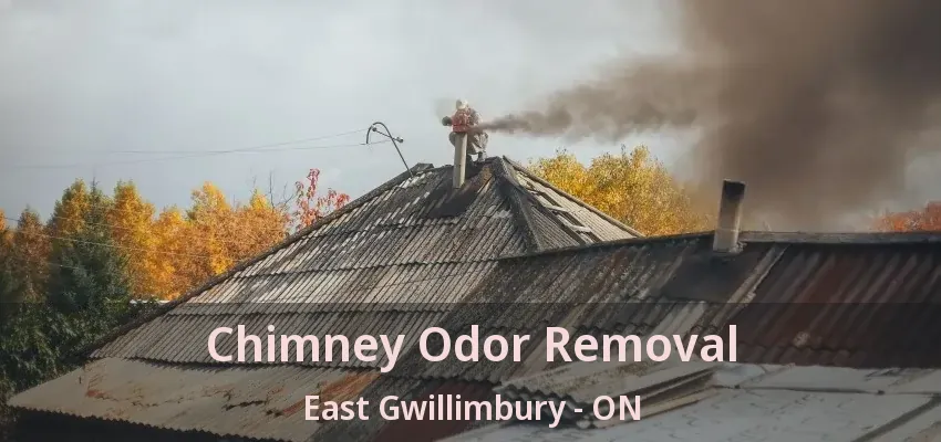 Chimney Odor Removal East Gwillimbury - ON Chimney Odor Removal East Gwillimbury - ON