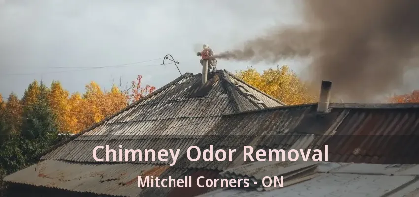 Chimney Odor Removal Mitchell Corners - ON Chimney Odor Removal Mitchell Corners - ON