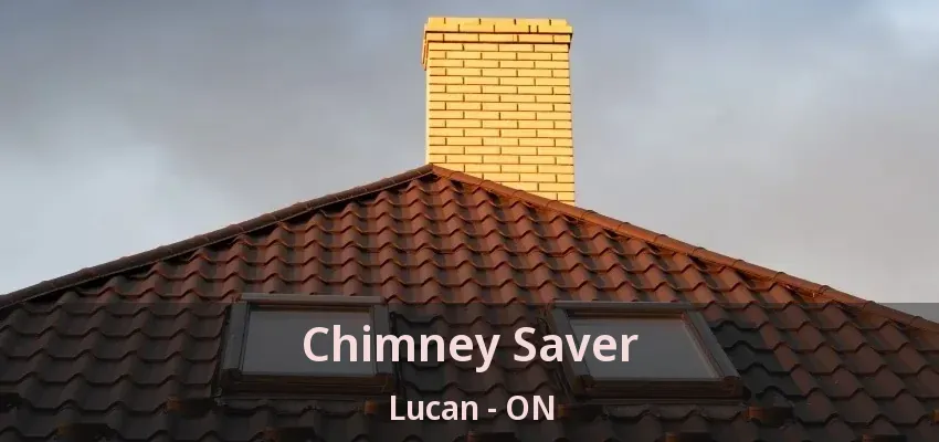 Chimney Saver Lucan - ON Chimney Saver Lucan - ON