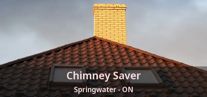 Chimney Saver Springwater - ON Chimney Saver Springwater - ON