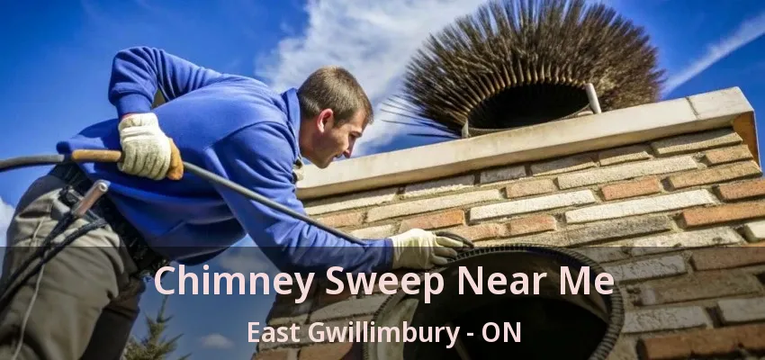 Chimney Sweep Near Me East Gwillimbury - ON Chimney Sweep Near Me East Gwillimbury - ON