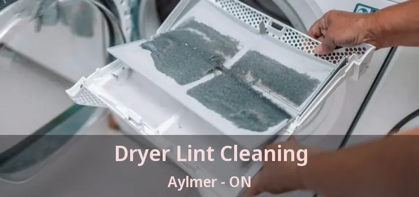 Dryer Lint Cleaning Aylmer - ON Dryer Lint Cleaning Aylmer - ON