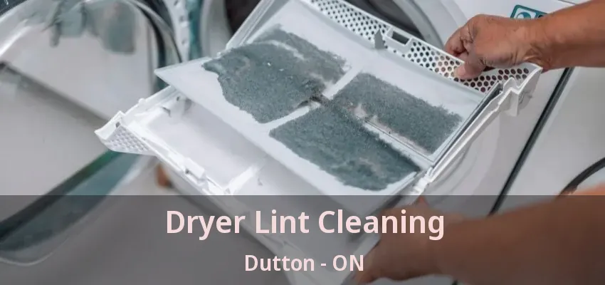 Dryer Lint Cleaning Dutton - ON