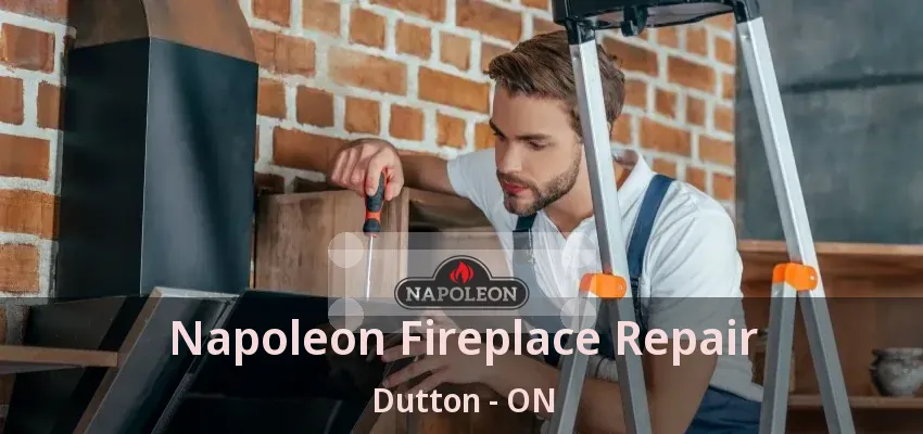 Napoleon Fireplace Repair Dutton - ON Napoleon Fireplace Repair Dutton - ON