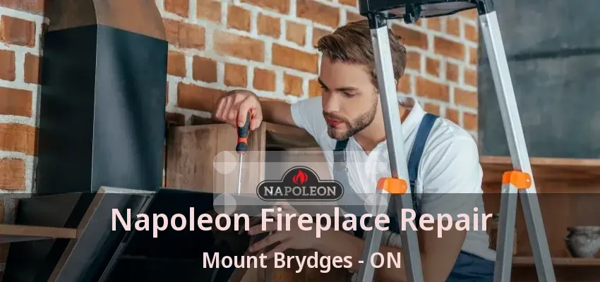 Napoleon Fireplace Repair Mount Brydges - ON Napoleon Fireplace Repair Mount Brydges - ON