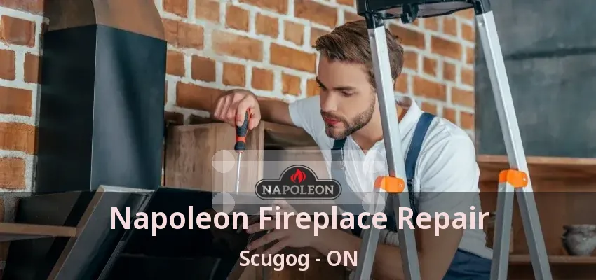 Napoleon Fireplace Repair Scugog - ON Napoleon Fireplace Repair Scugog - ON