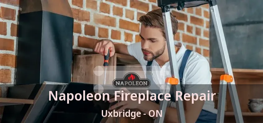 Napoleon Fireplace Repair Uxbridge - ON Napoleon Fireplace Repair Uxbridge - ON