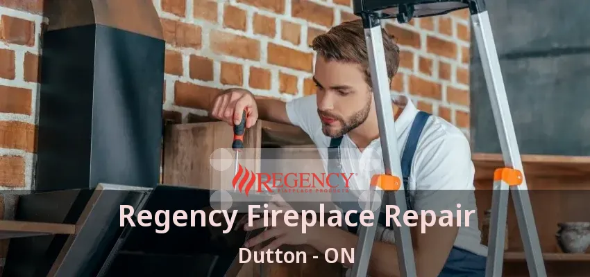 Regency Fireplace Repair Dutton - ON Regency Fireplace Repair Dutton - ON