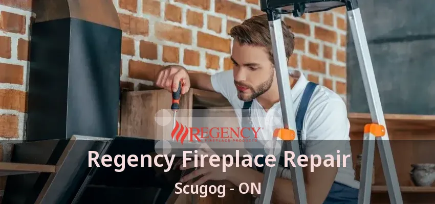 Regency Fireplace Repair Scugog - ON Regency Fireplace Repair Scugog - ON