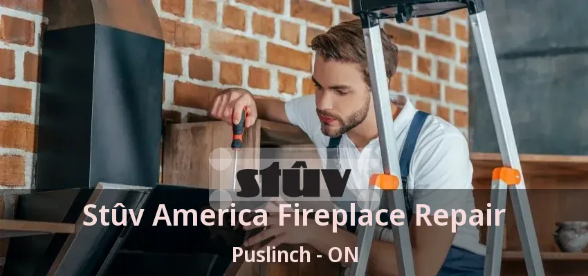 Stûv America Fireplace Repair Puslinch - ON Stûv America Fireplace Repair Puslinch - ON