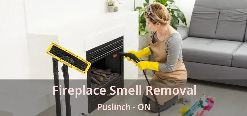 Fireplace Smell Removal Puslinch - ON Fireplace Smell Removal Puslinch - ON