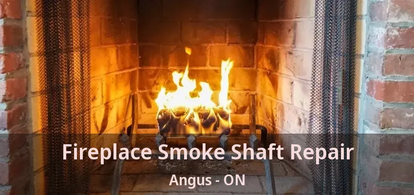 Fireplace Smoke Shaft Repair Angus - ON