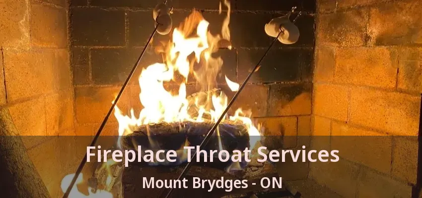 Fireplace Throat Services Mount Brydges - ON Fireplace Throat Services Mount Brydges - ON