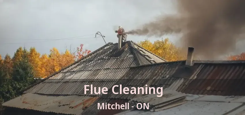 Flue Cleaning Mitchell - ON Flue Cleaning Mitchell - ON