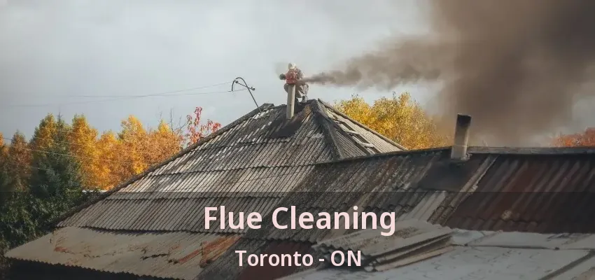 Flue Cleaning Toronto - ON Flue Cleaning Toronto - ON