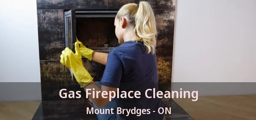 Gas Fireplace Cleaning Mount Brydges - ON Gas Fireplace Cleaning Mount Brydges - ON
