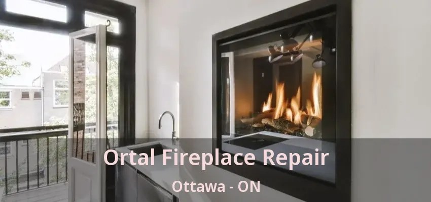Ortal Fireplace Repair Ottawa - ON