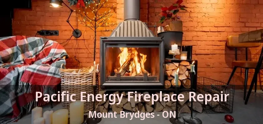 Pacific Energy Fireplace Repair Mount Brydges - ON
