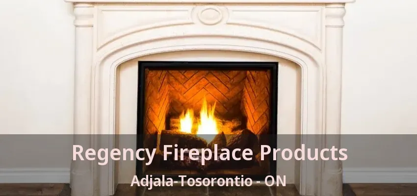 Regency Fireplace Products Adjala-Tosorontio - ON Regency Fireplace Products Adjala-Tosorontio - ON