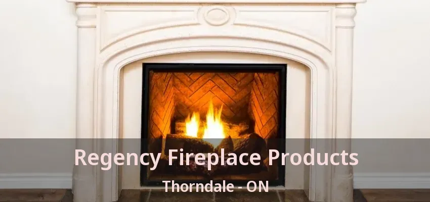 Regency Fireplace Products Thorndale - ON